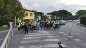 camaino