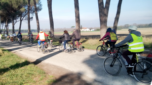 pedalario
